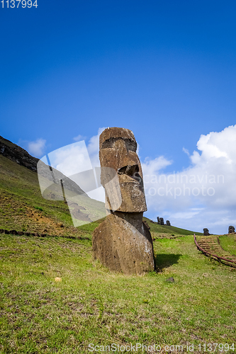 Image of Moais statues on Rano Raraku volcano, easter island