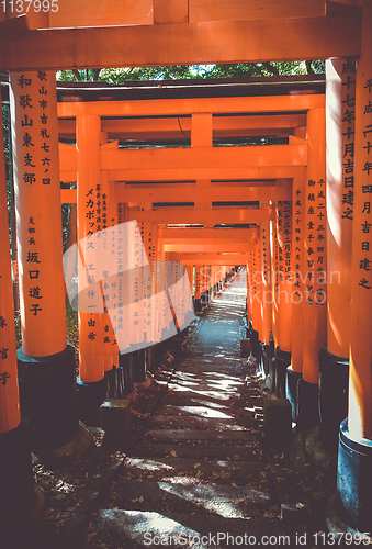 Image of Fushimi Inari Taisha torii, Kyoto, Japan