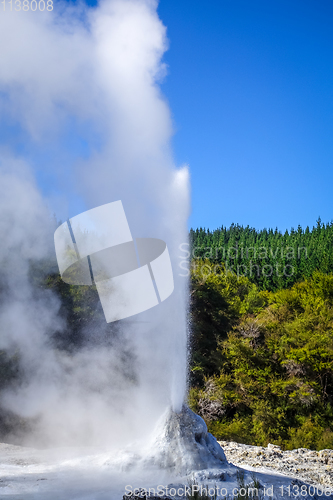 Image of Geyser in Waiotapu, Rotorua, New Zealand