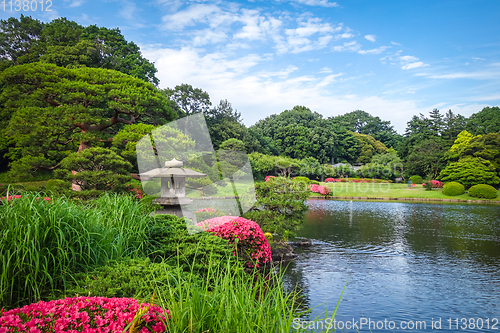 Image of Shinjuku Gyoen garden, Tokyo, Japan