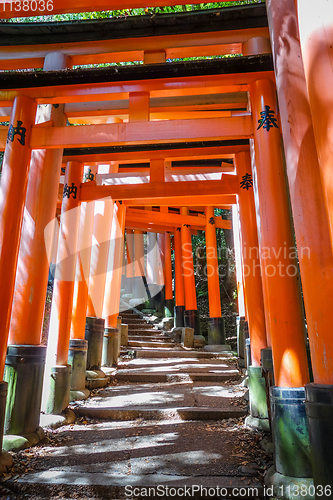 Image of Fushimi Inari Taisha torii, Kyoto, Japan