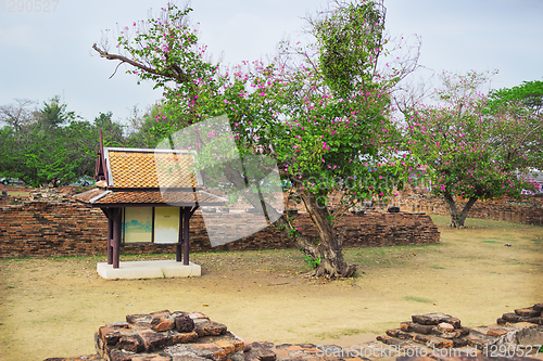 Image of Ruins architecture in Ayutthaya historic park, Thailand