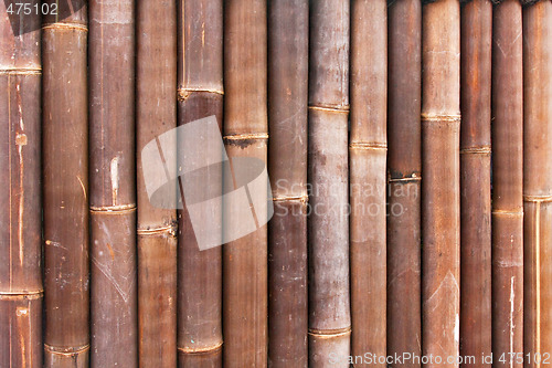 Image of Bamboo