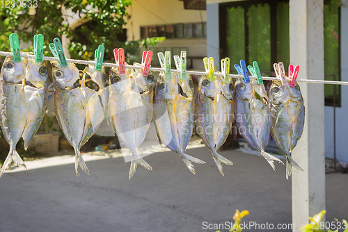 Image of Fish are suspended on a rope and dried