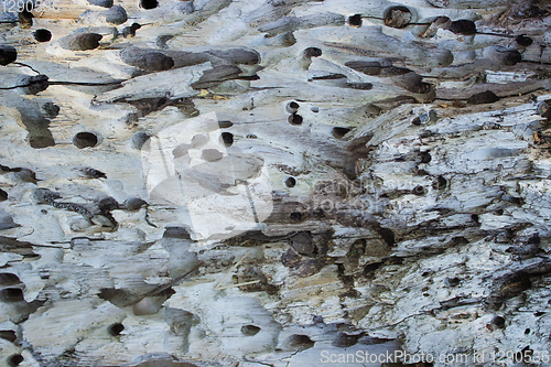 Image of Texture of wood, corroded pests