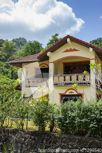 Image of Fragment of the house near the jungle