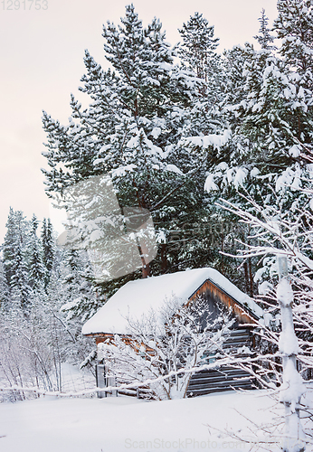 Image of Little hut on edge of boreal forest