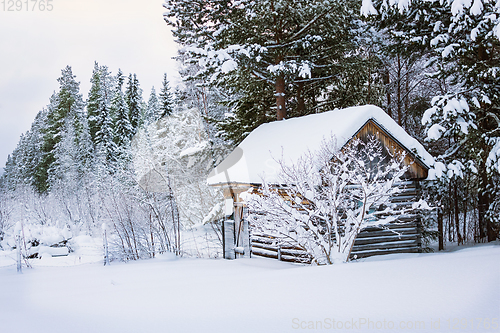 Image of The little hut on edge of boreal forest