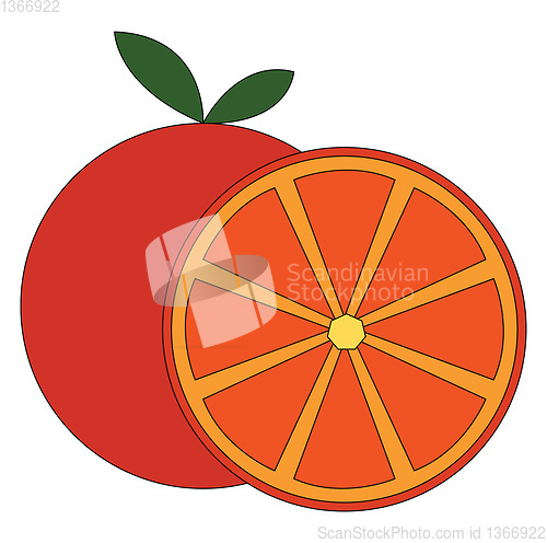 Image of Simple vector illustration of an orange cut in half white backgr
