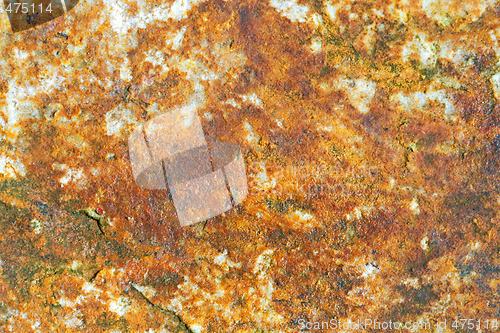 Image of Mouldy stone