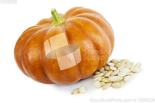 Image of Pumpkin with bright peel and seeds on white