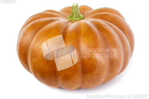 Image of Pumpkin with a bright peel on white