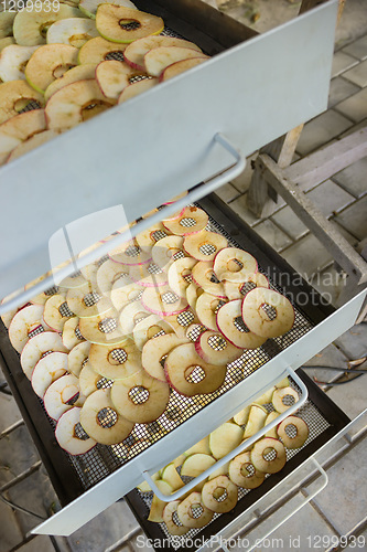 Image of Apples are placed in an electric dryer