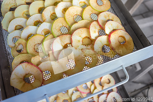 Image of Apples are placed in a dryer