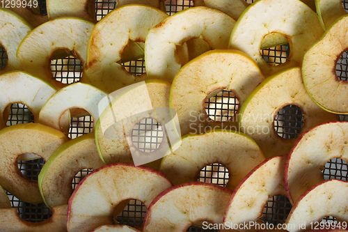 Image of Apples are sliced and placedon grid of electric dryer