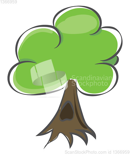 Image of Drawing of a tree/Woody perennial plant vector or color illustra