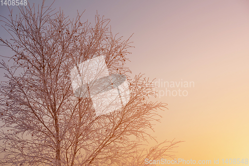 Image of winter landscape during sunset