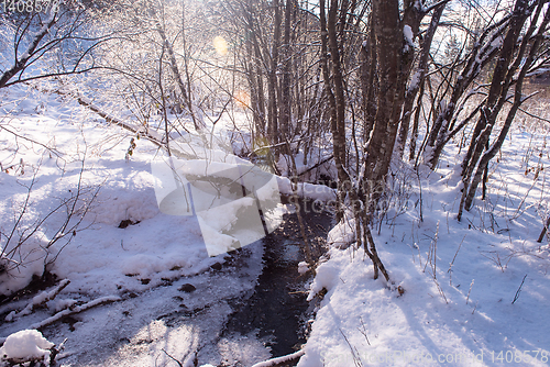 Image of small river in the winter forest