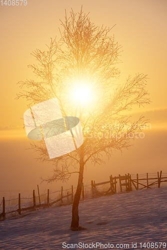 Image of Beautiful winter landscape