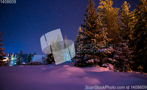 Image of Beautiful winter night landscape