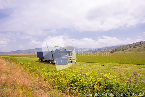 Image of combine machine loading bunker of the truck