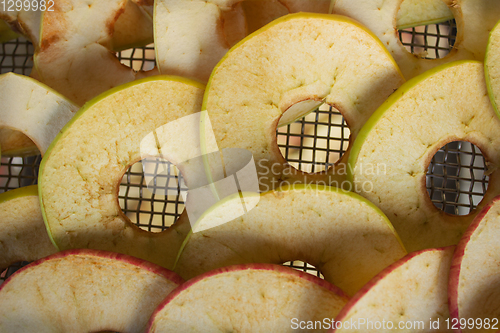 Image of Slices of apples placedon grid of electric dryer