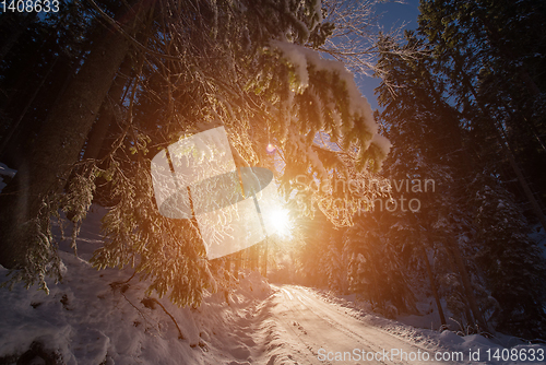 Image of Snowy country road during  sunset or sunrise