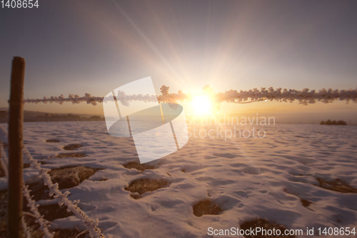 Image of winter landscape during sunset