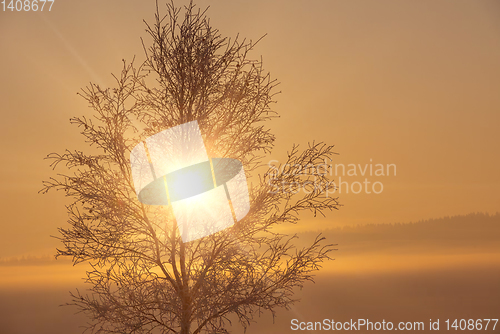 Image of Beautiful winter landscape