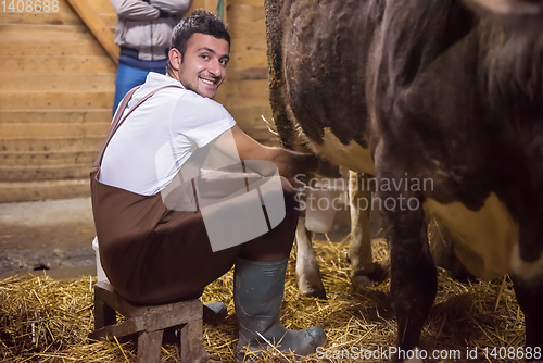 Image of farmer milking dairy cow by hand