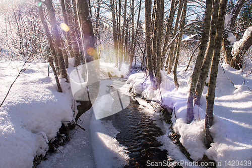 Image of small river in the winter forest