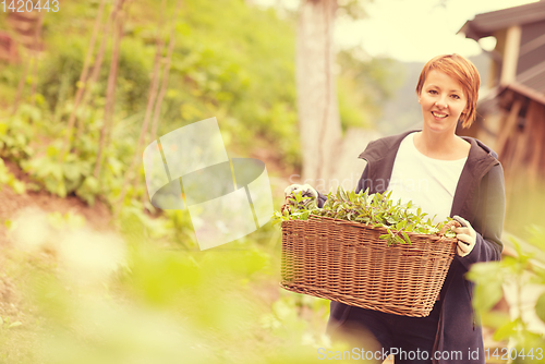 Image of woman gardening