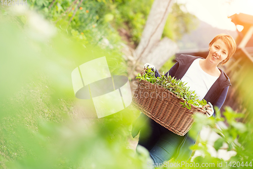 Image of woman gardening