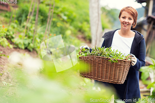 Image of woman gardening