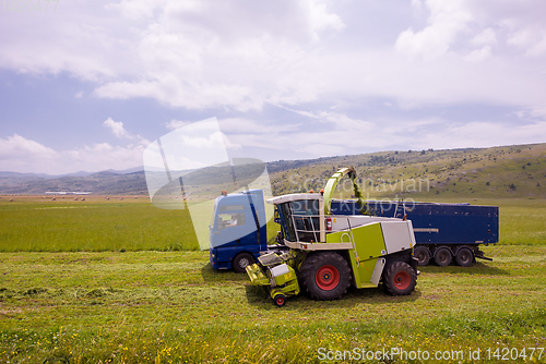 Image of combine machine loading bunker of the truck