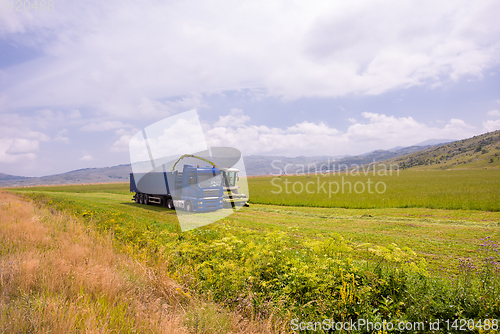 Image of combine machine loading bunker of the truck