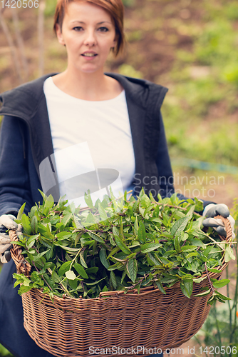 Image of woman gardening