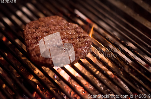 Image of delicious grilled meat on barbecue