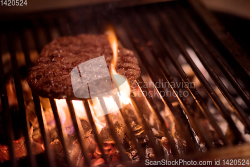 Image of delicious grilled meat on barbecue