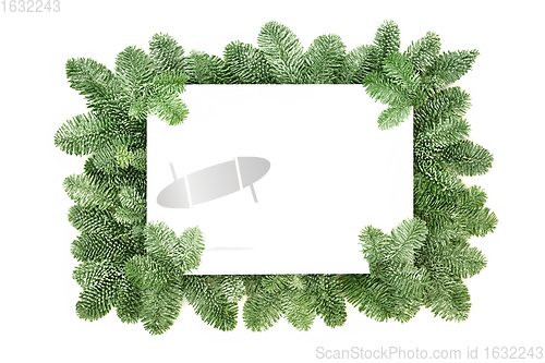 Image of Winter Spruce Fir Pine Border