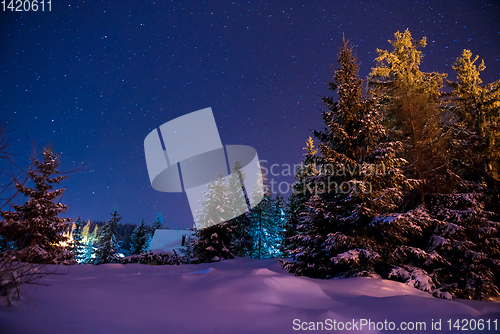 Image of Beautiful winter night landscape