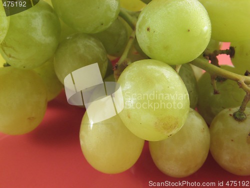 Image of grape