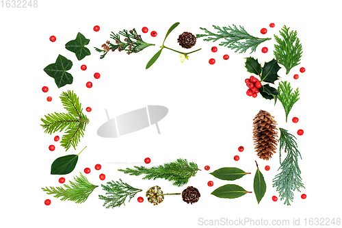 Image of Traditional Natural Winter Flora Background Border