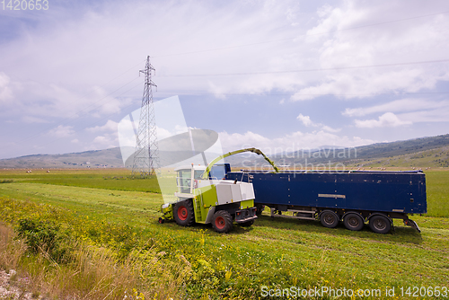 Image of combine machine loading bunker of the truck