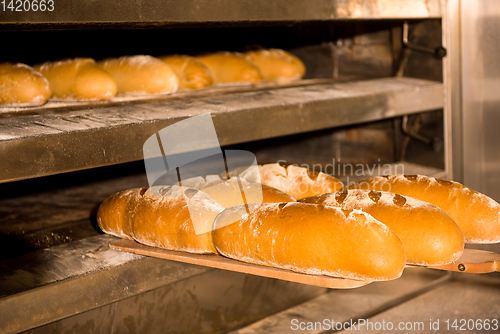 Image of Baked bread in the bakery