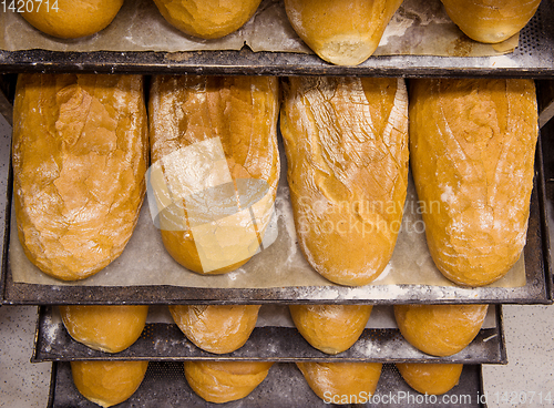 Image of bread bakery food factory production with fresh products