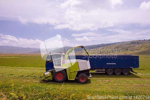 Image of combine machine loading bunker of the truck