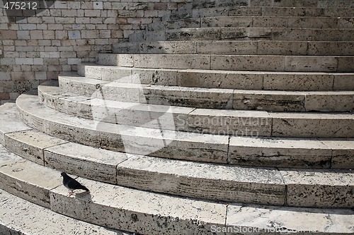 Image of Nice marble steps with pigeon