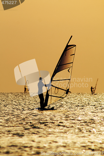 Image of Silhouettes of a windsurfers on waves of a gulf 