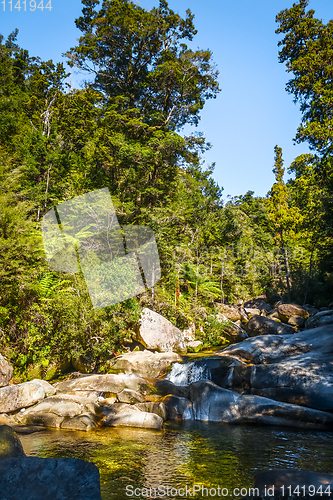 Image of Cleopatra pools in Abel Tasman National Park, New Zealand